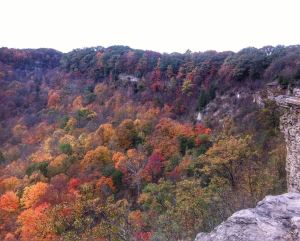fall-image-from-dundas-peak-ontario